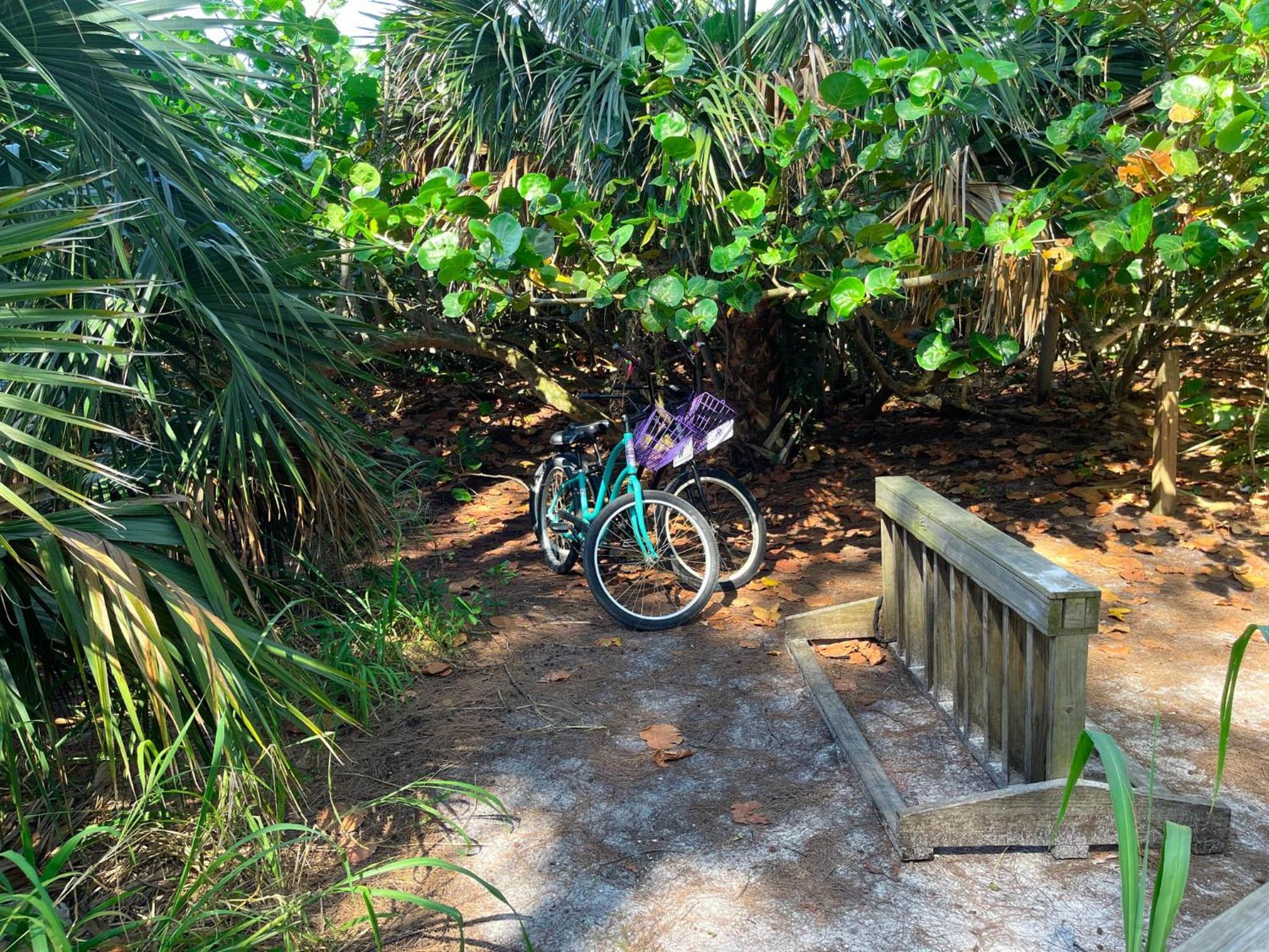 Anna Maria Island Runaway Tropical Dream-One Minute Walk To The Beach-Heated Pool 布雷登顿海滩 外观 照片