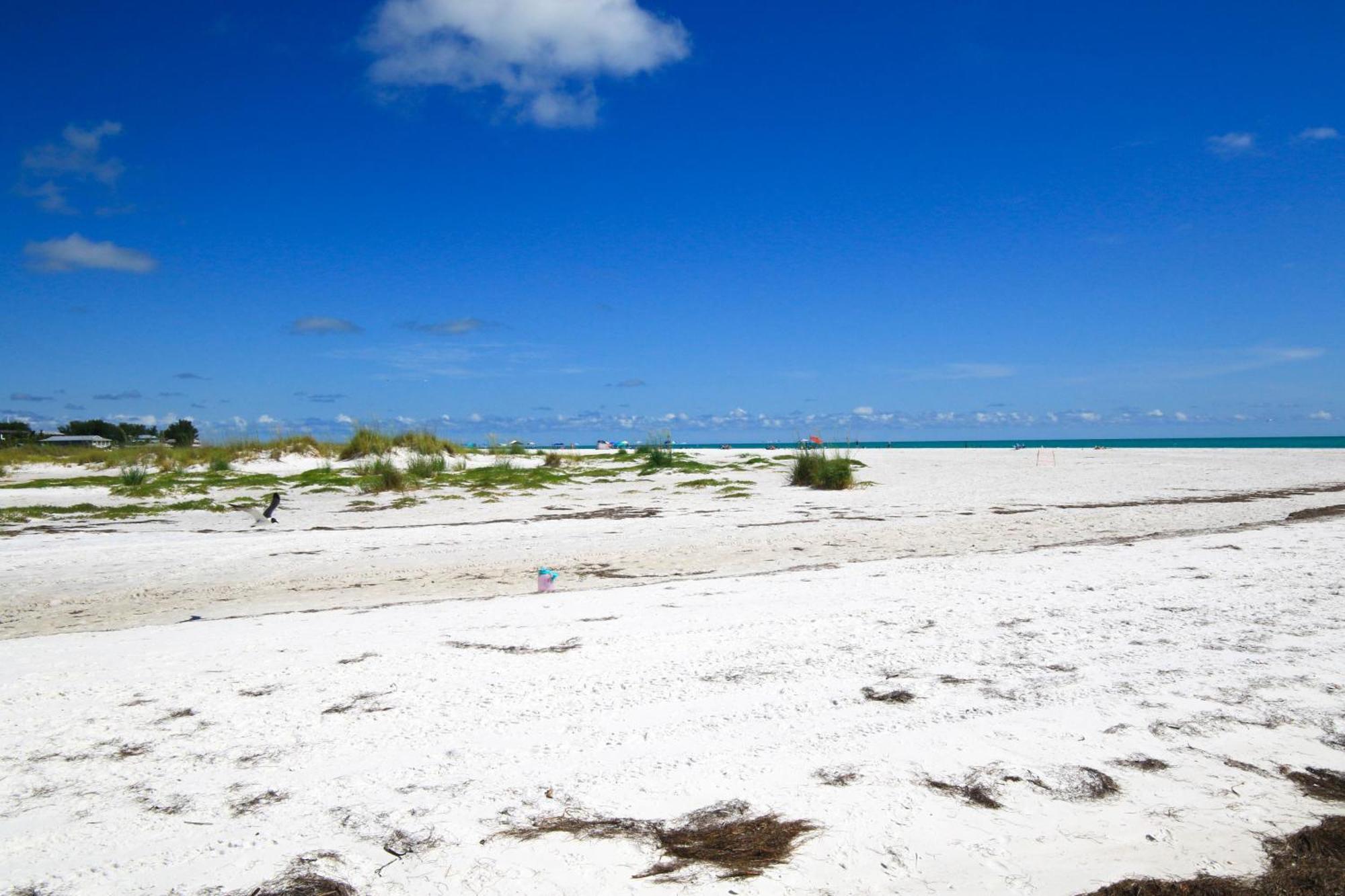 Anna Maria Island Runaway Tropical Dream-One Minute Walk To The Beach-Heated Pool 布雷登顿海滩 外观 照片