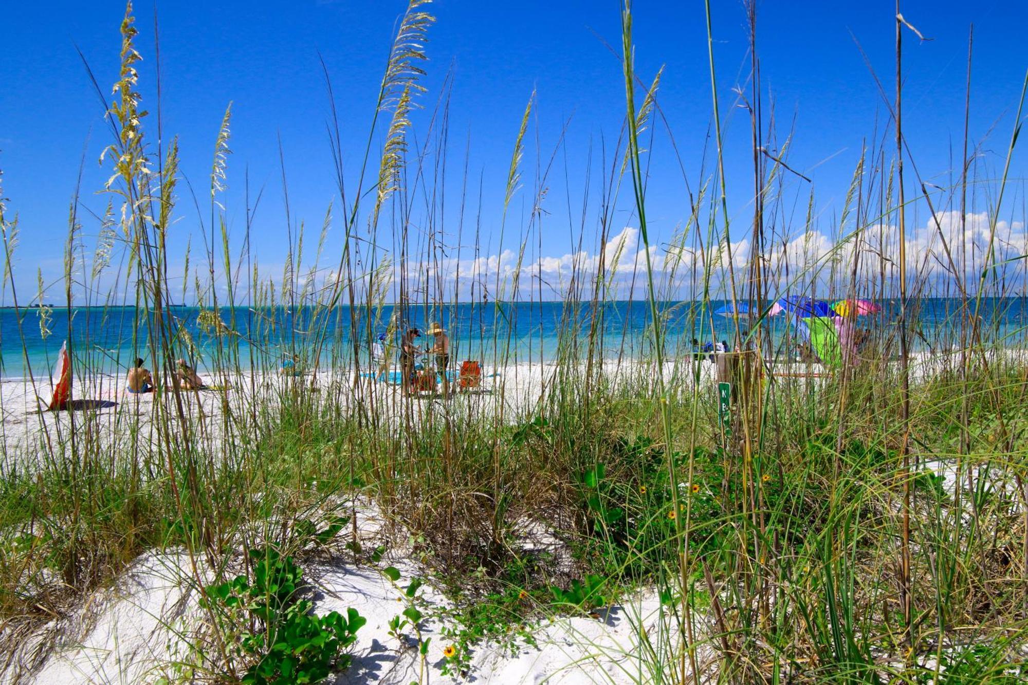 Anna Maria Island Runaway Tropical Dream-One Minute Walk To The Beach-Heated Pool 布雷登顿海滩 外观 照片