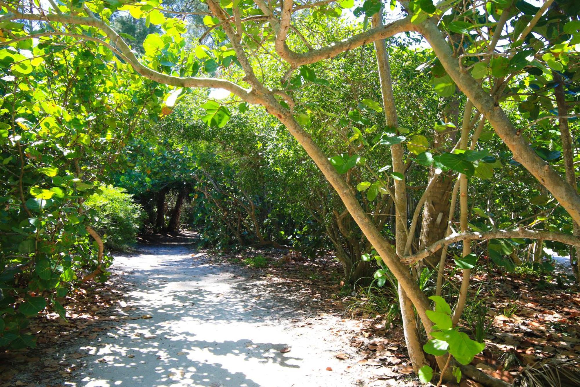 Anna Maria Island Runaway Tropical Dream-One Minute Walk To The Beach-Heated Pool 布雷登顿海滩 外观 照片
